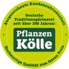 Best Kinder-Campingklapptisch 35500020 blau Bild 2