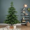 Tannenbaum 180cm GRANDIS Bild 5