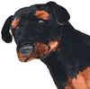 vidaXL Plüschtier Hund Rottweiler Stehend Plüsch Schwarz und Braun XXL 91330 Bild 3