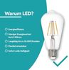 EGLO 3er Set LED Filament Lampen mit E27 Fassung, Edison Vintage Glühbirnen klar, je 4 Watt, Leuchtmittel neutralweiß, 4000 K, 470 Lumen, Retro Glühlampe ST64, Ø 6,4 cm Bild 4