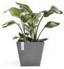Ecopots Pflanztopf Rotterdam 30 x 30 x 26 cm grau Bild 4