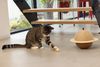 Designed By Lotte Kratzkugel Holz-Kratzball Wiggly Bild 2