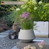 VIVANNO Blumentopf Fiberglas BERBELIT Rund - Grau Beton-Design (1 St), 42x30 cm Bild 5