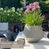 VIVANNO Blumentopf Fiberglas BERBELIT Rund - Grau Beton-Design (1 St), 42x30 cm Bild 4