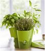 Emsa 515352 Trio Kräutertopf für frische Kräuter, Selbstbewässerung, Wasserstandsanzeiger, 27 x 25 x 21 cm, Weiss, Fresh Herbs Trio Bild 4