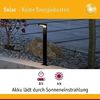 Paulmann No. 94249 Outdoor Solar Pollerleuchte Ryse mit Bewegungsmelder Anthrazit Bild 2