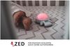 Rocket ZED Schlafastronaut by Rockit - 3in1 Einschlafhilfe + tragbares Nachtlicht/mit 6 beruhigenden Vibrationsmodi, für ruh Bild 2