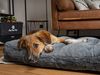 TrendPet Tierbett Maya Ortho, orthopädischer Liegekomfort, 100% Polyester, verschiedene Größen Bild 5