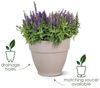 elho Vibia Campana Rund 25 - Blumentopf für Außen - Ø 24.5 x H 21.0 cm - Weiß/Seidenweiß Bild 2