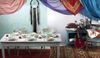 Tognana ME085075598 Set aus 6 EspressoTasse mit Untertassenn CC 200 Gipsy Soft, Porzellan Bild 4
