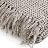 Decke Kuscheldecke flauschige Decke Wohnzimmer-Decke Plaid Waffel Taupe Bild 3