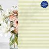 jalousiescout Plissee Pure Plissee Premium, 35 x 100 cm, creme, halbtransparent, ohne Bohren, verspannt, Klemmfix, Polyester-Stoff, blickdicht und lichtdurchlässig Bild 4