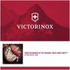 Victorinox Universalschäler mit Zackenschliffklinge, Zweischneidig, Rostfrei, Edelstahl, Spülmaschinengeeignet, grün Bild 2