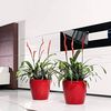 LECHUZA CLASSICO Premium LS 43 scarlet rot hochglanz 16087 Bild 4