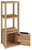 Wandregal Holz Wildeiche massivum Sydney 1-türig 31x90x25cm Hängeregal Badregal Küche Flur Bücherregal klein Regal mit Tür Bild 4