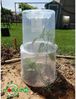 NOOR Verlängerung für Pflanzglocke MODUL'O - für große Gartenpflanzen Ø 40 x H 32cm - transparente Abdeckung für Jungpflanzen - Frühbeet-Zubehör Pflanzen-Schutzhaube aus Kunststoff Bild 3