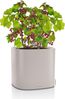 LECHUZA PILA Color Planter sandbraun 15907 Bild 2