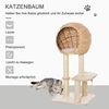 PawHut Kratzbaum Kätzchen Möbel mit Katzenhöhle Ballspielzeug, Sisal weiche Plüsch Höhe 100 cm Beige Bild 3