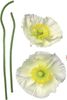 Deco-Sticker Pavot Blanc Bild 1