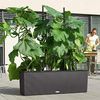 LECHUZA TRIO Cottage 30 Rankgitter schwarz 15011 Bild 5