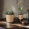INtrenDU Blumentopf Blumentopf rund 2er Set (2er Set) Bild 3