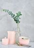 Greengate Alice Auflaufform pale pink klein Set2 Bild 3