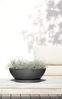 ECOPOTS Blumentopf Vienna 50 Dunkelgrau, für innen und außen: frostsicher, bruchsicher und lichtbeständig Bild 5
