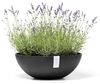 ECOPOTS Blumentopf Vienna 50 Dunkelgrau, für innen und außen: frostsicher, bruchsicher und lichtbeständig Bild 2