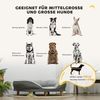 PawHut Tierbett Waschbarer Bezug, mit Rückenlehne und Holzbeine, Polyester, für mittelgroße Hunde unter 25 kg, Grau Bild 3