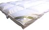TRAUM Daunenbett Daunendecke Bettdecke Kassette, 240x220 cm 100% neue Daunen Bild 2