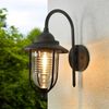 Lindby Außen-Wandleuchte Mertis, Metall, Transparent IP44, 1 x 60 W Bild 5