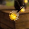 esotec LED Gartenleuchte Solarkette 30 Pusteblumen 9m +2m Zuleitung 3000K winterfest 102185, LED fest integriert Bild 2