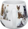 KÖNITZ 1111432933 Kuschelbecher 400 ml Samtpfoten, Porzellan / Becher Katzen Bild 4