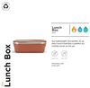 Klean Kanteen Rise Lunch Box 592 ml/20 oz - Autumn Glaze Bild 2