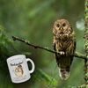 speecheese Tasse Bestandene Prüfung Eule Glas Tasse mit Spruch Lizenz zum Klugscheißen Bild 3