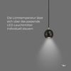 SLV No. 133490 LIGHT EYE BALL GU10 Pendelleuchte schwarz chrom max. 5W Bild 4