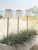 Luxform Gartenleuchte Solar-Gartenlampe - Maspalomas - 15 Lumen - LED, LED fest integriert, Solarbetrieben Bild 2