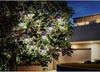 Esotec Solar-Lichterkette Laterne Außen 10 LED Warmweiß Bild 2