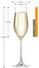 montana :fine Sektglas, 6-er Set, 210ml, spülmaschinenfest, Quotan-Kristallglas, 042789 Bild 3