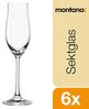 montana :fine Sektglas, 6-er Set, 210ml, spülmaschinenfest, Quotan-Kristallglas, 042789 Bild 2