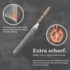 ZAYIKO Damastmesser DAITO PROFI LINE "Fleischmesser" - Ahornholz - VG-10 Stahlkern Bild 3