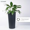 KONZEPT Blumentopf mit Einsatz Hoch 75cm für Außenbereich, wetterfest, mit Rillenstruktur, Modernes Design, UV-beständig, Vielseitigkeit, bruchfest Bild 3