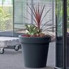 Prosperplast Blumentopf Lofly (DLOF600N, Durchmesser 58,2 cm), Wetterfest & UV-beständig Bild 4