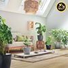 Lechuza Pflanztopf Classico Eco 35 cm Kunststoff hellgrau Bild 5