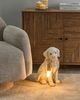 Tischlampe Hund LUCKY Weiß Bild 2
