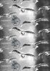Harry Potter Wende Bettwäsche Hogwarts 2tlg 155 x 220 cm Bild 5