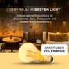 greenandco 8x LED Vintage Glühbirne zur Stimmungsbeleuchtung | dimmbar | E27 G95 | gold | 3,5W 120lm | 1800K extra warmweiß | 320° | 230V | flimmerfrei | Edison Glühbirne Bild 5