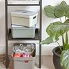 Sunware Einsatz-Tray für Box Sigma Home S hellgrau Bild 5