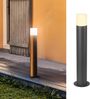 SLV 1006181 GRAFIT E27 60 Pole round Stehleuchte anthrazit Bild 2