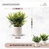 Künstliche Zimmerpflanze Kunstpflanze im Topf Dekoration Kunstblume Wohnzimmer Küchendeko Sukkulente, Coradoma, 3er Set modern Fensterbank Schreibtisch Büro Schlafzimmer Bild 2